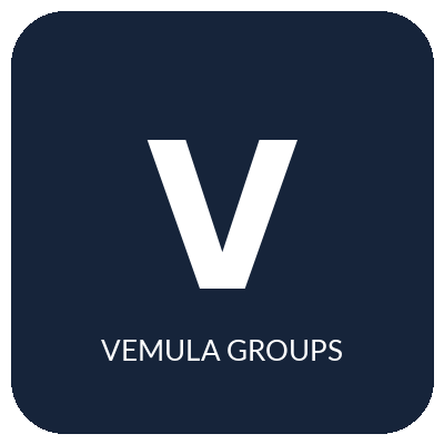 Vemula Groups logo